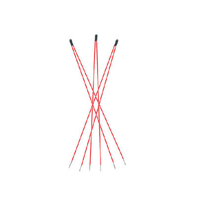 Température de précision Thermistore en fil émaillé Longueur maximale de 200 mm pour une mesure thermique précise